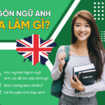 học ngôn ngữ anh ra làm gì