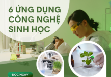 6 ứng dụng công nghệ sinh học