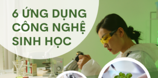 6 ứng dụng công nghệ sinh học