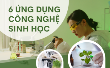 6 ứng dụng công nghệ sinh học
