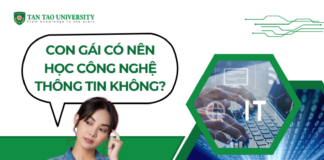 Con gái có nên học công nghệ thông tin không?