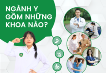 Ngành y gồm những khoa nào?