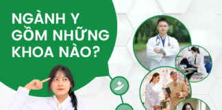 ngành y gồm những khoa nào