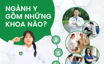Ngành y gồm những khoa nào?