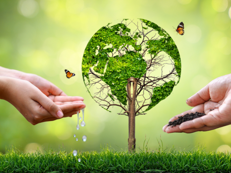 6 ứng dụng công nghệ sinh học phổ biến nhất trong thực tiễn 4 Ứng dụng công nghệ sinh học trong thực phẩm
