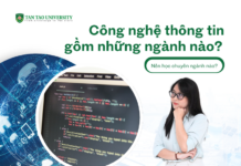 Công nghệ thông tin gồm những ngành nào