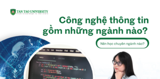 Công nghệ thông tin gồm những ngành nào