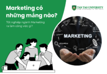 Ngành Marketing bao gồm những mảng nào