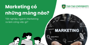 Ngành Marketing bao gồm những mảng nào