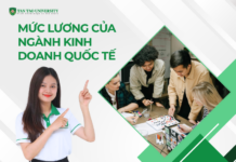 Mức lương của ngành Kinh doanh quốc tế