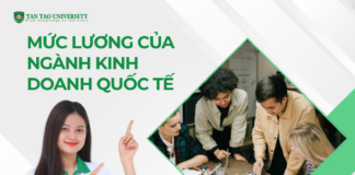 Mức lương của ngành Kinh doanh quốc tế