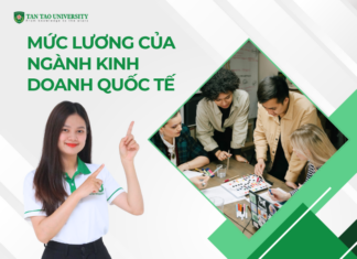 Mức lương của ngành Kinh doanh quốc tế