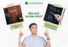 Nên học Ngôn ngữ Anh hay Ngôn ngữ Trung