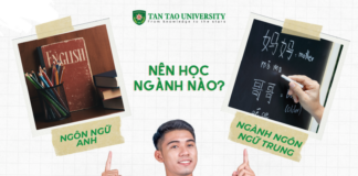 Nên học Ngôn ngữ Anh hay Ngôn ngữ Trung