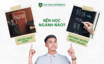 Nên học Ngôn ngữ Anh hay Ngôn ngữ Trung