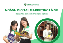 ngành digital marketing