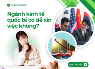 Ngành kinh tế quốc tế có dễ xin việc không?