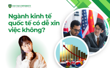 Ngành kinh tế quốc tế có dễ xin việc không?
