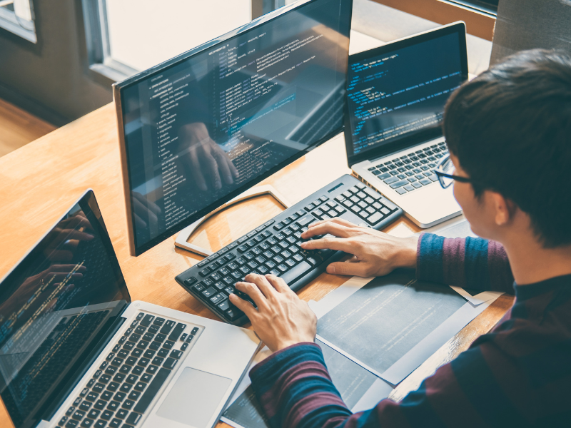 Công nghệ thông tin gồm những ngành nào? Nên học chuyên ngành nào? 5 Phát triển Web (Web Development)