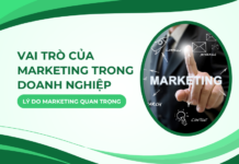 Vai trò của Marketing