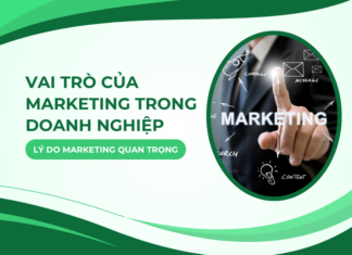 Vai trò của Marketing