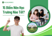 15 Điểm Nên Học Trường Nào Tốt?