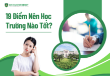19 điểm nên học trường nào