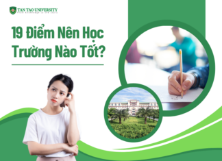 19 điểm nên học trường nào