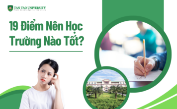 19 điểm nên học trường nào