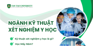 Kỹ Thuật Viên Xét Nghiệm Y Học