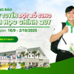 tuyển sinh đợt 2