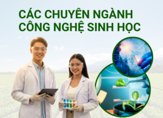 Các chuyên ngành công nghệ sinh học