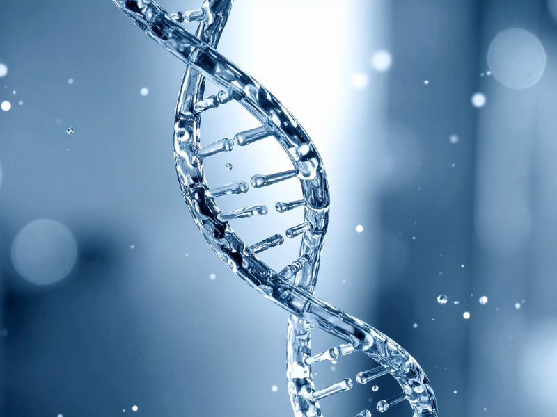 Triển vọng của công nghệ sinh học trong tương lai 2 Chỉnh sửa gen (CRISPR/Cas9) và ứng dụng