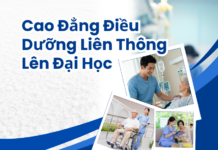 Cao Đẳng Điều Dưỡng Liên Thông Lên Đại Học (Cử Nhân Điều Dưỡng) Cao Đẳng Điều Dưỡng Liên Thông Lên Đại Học