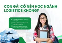 Con gái có nên học ngành logistics không?
