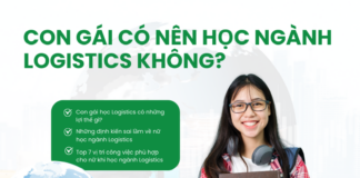 Con gái có nên học ngành logistics không?