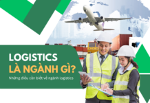Logistics là ngành gì?