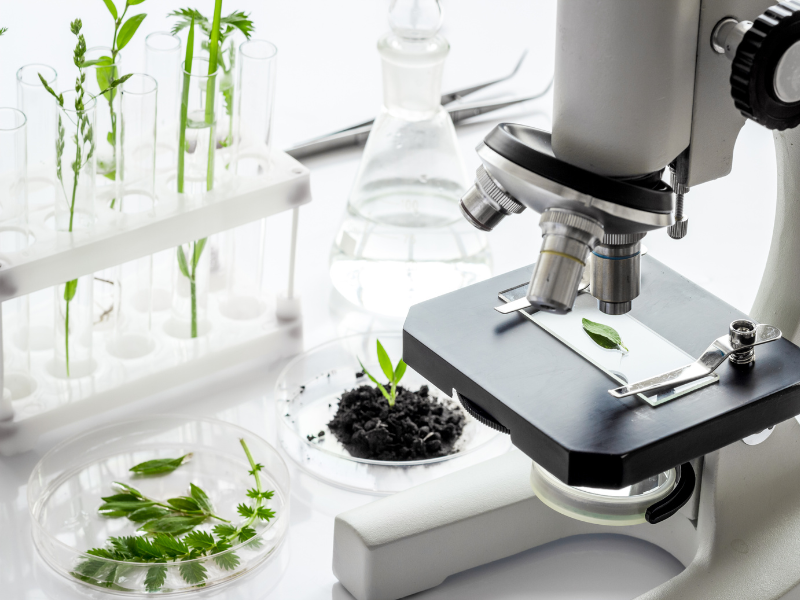 Nông nghiệp công nghệ cao là gì? Xu thế tất yếu và Ứng dụng thực tiễn tại Việt Nam 1 Nông nghiệp công nghệ cao là gì?