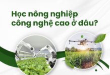 Học nông nghiệp công nghệ cao ở đâu? Top 6 trường đào tạo tốt tại Việt Nam Học nông nghiệp công nghệ cao ở đâu?