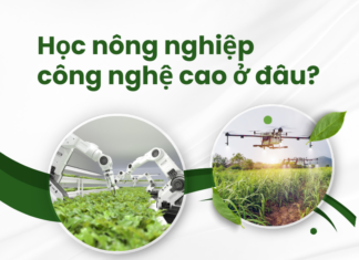 Học nông nghiệp công nghệ cao ở đâu?
