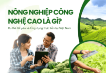 Nông nghiệp công nghệ cao là gì? Xu thế tất yếu và Ứng dụng thực tiễn tại Việt Nam Nông nghiệp công nghệ cao là gì?