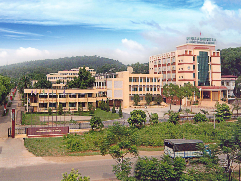 Học nông nghiệp công nghệ cao ở đâu? Top 6 trường đào tạo tốt tại Việt Nam 4 Trường Đại học Lâm nghiệp