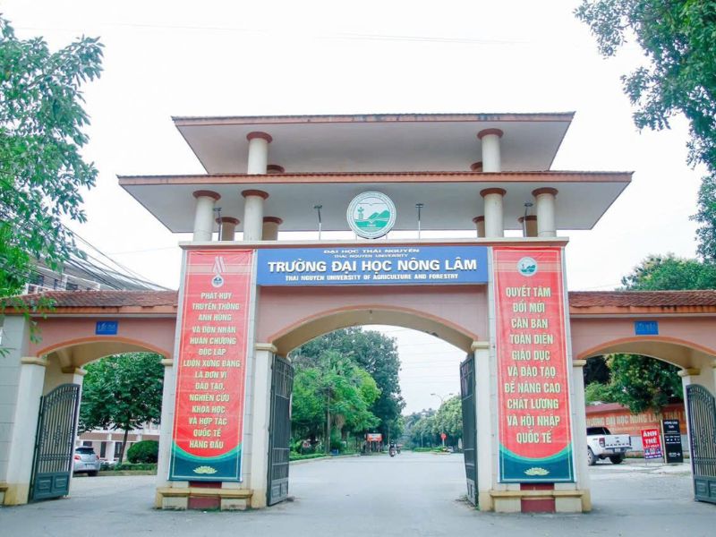 Học nông nghiệp công nghệ cao ở đâu? Top 6 trường đào tạo tốt tại Việt Nam 1 Trường Đại học Nông Lâm Thái Nguyên