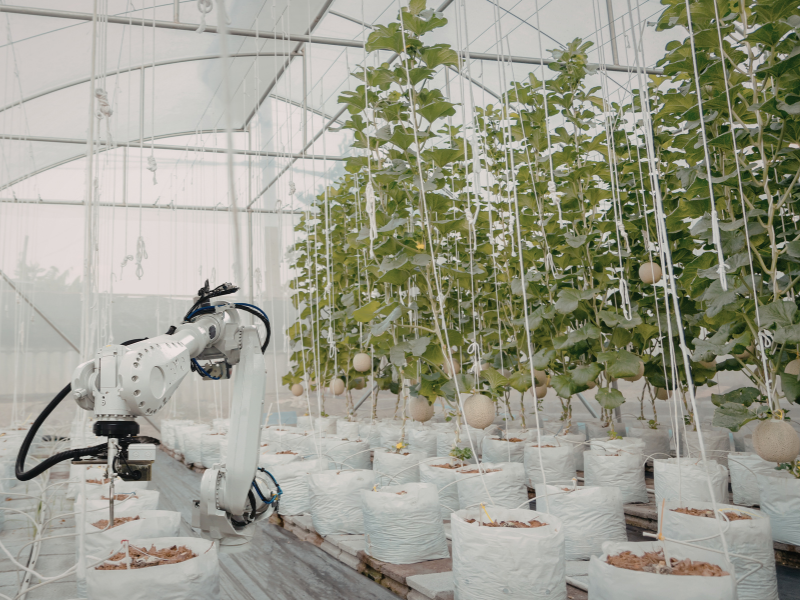 Nông nghiệp công nghệ cao là gì? Xu thế tất yếu và Ứng dụng thực tiễn tại Việt Nam 2 Tự động hóa & Robotics