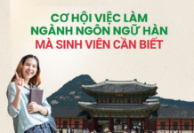 Cơ hội việc làm ngành ngôn ngữ Hàn mà sinh viên cần biết Cơ hội việc làm ngành ngôn ngữ Hàn