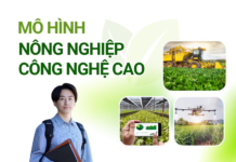 Top các mô hình nông nghiệp công nghệ cao phổ biến và mới nhất Top các mô hình nông nghiệp công nghệ cao