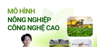 Top các mô hình nông nghiệp công nghệ cao
