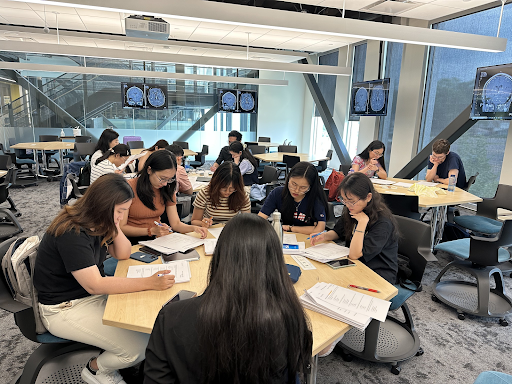 TTU students studying during an internship trip in the United States with international friends