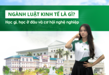 Ngành luật kinh tế là gì