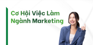 Cơ Hội Việc Làm Ngành Marketing